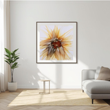 Shine Brightly Fine Art Print