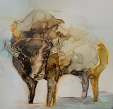 Montana Buffalo Fine Art Print